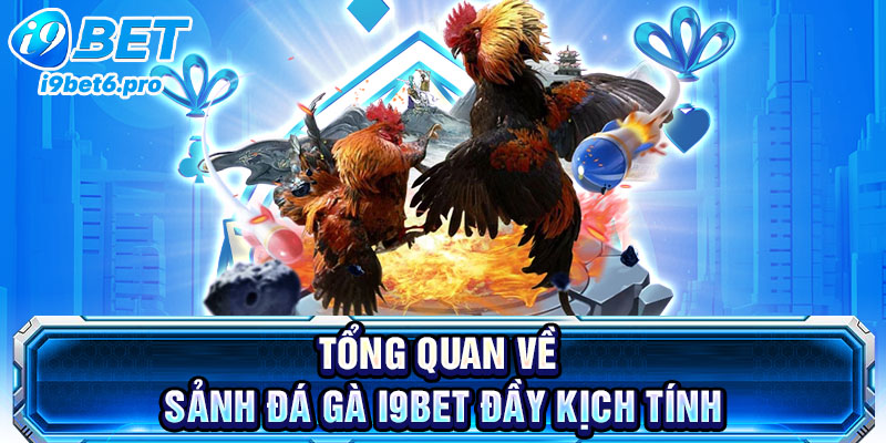 Tổng quan về sảnh đá gà I9BET đầy kịch tính