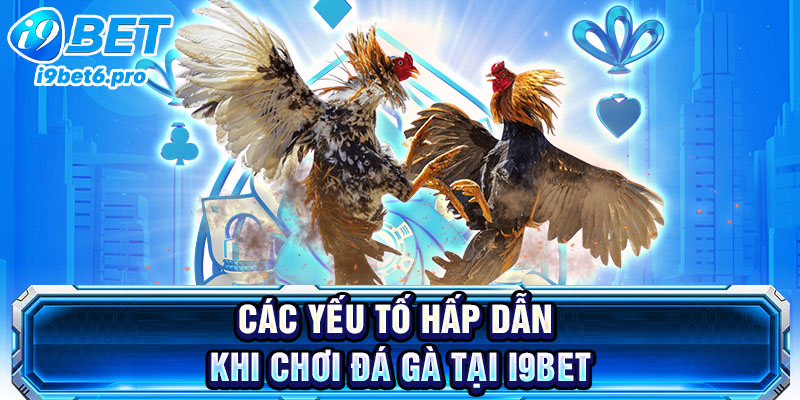 Các yếu tố hấp dẫn khi chơi đá gà tại I9BET