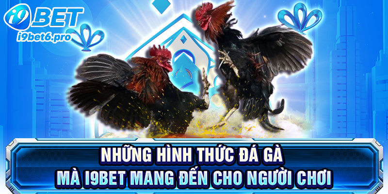 Những hình thức đá gà mà I9BET mang đến cho người chơi