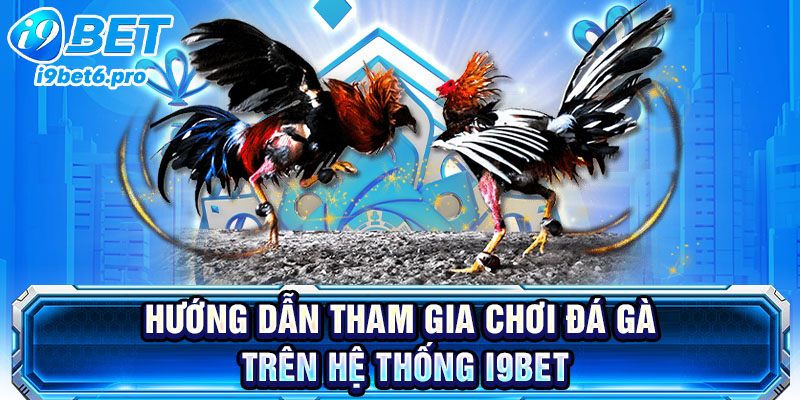 Hướng dẫn tham gia chơi đá gà trên hệ thống I9BET